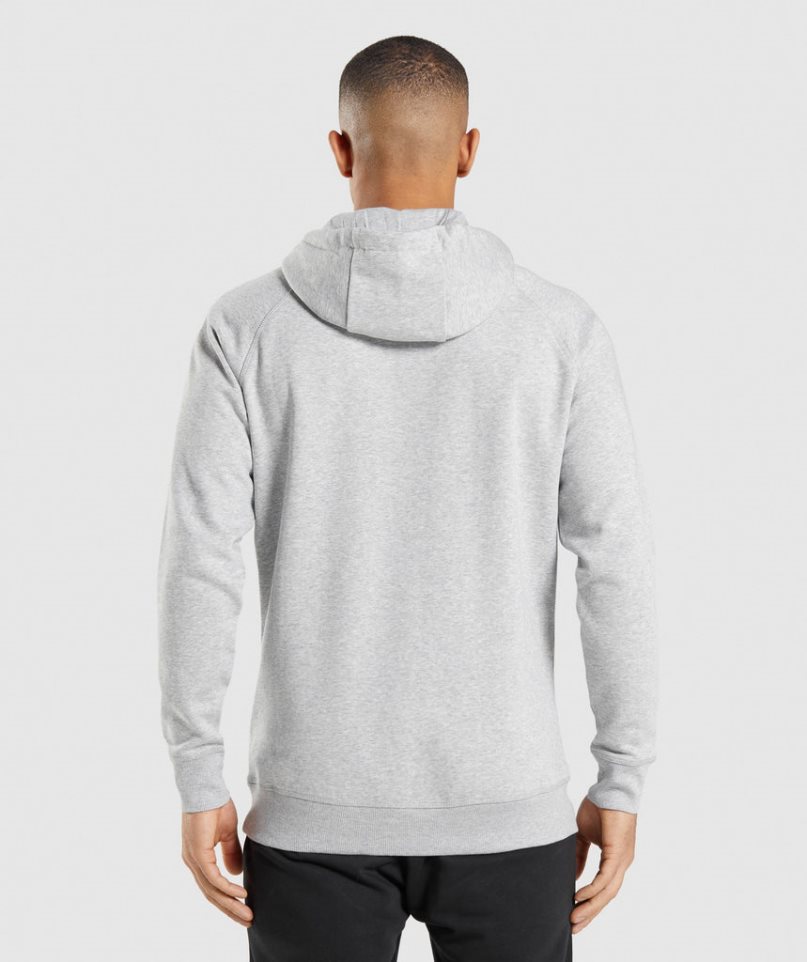 Men's Gymshark Crest Hoodie Light Grey | CA 5A6N70